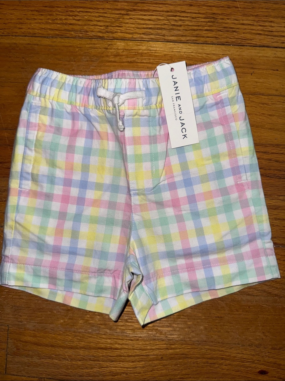 Janie and Jack Pull On Pastel Gingham Shorts NWT